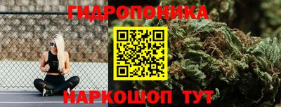 ПСИЛОЦИБИНОВЫЕ ГРИБЫ Свободный