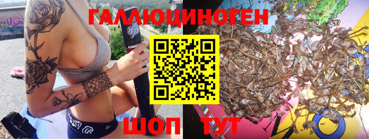 Псилоцибиновые грибы Psilocybe  Вход с VPN  Саров 